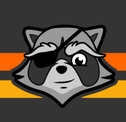 RACCOON LOGIC